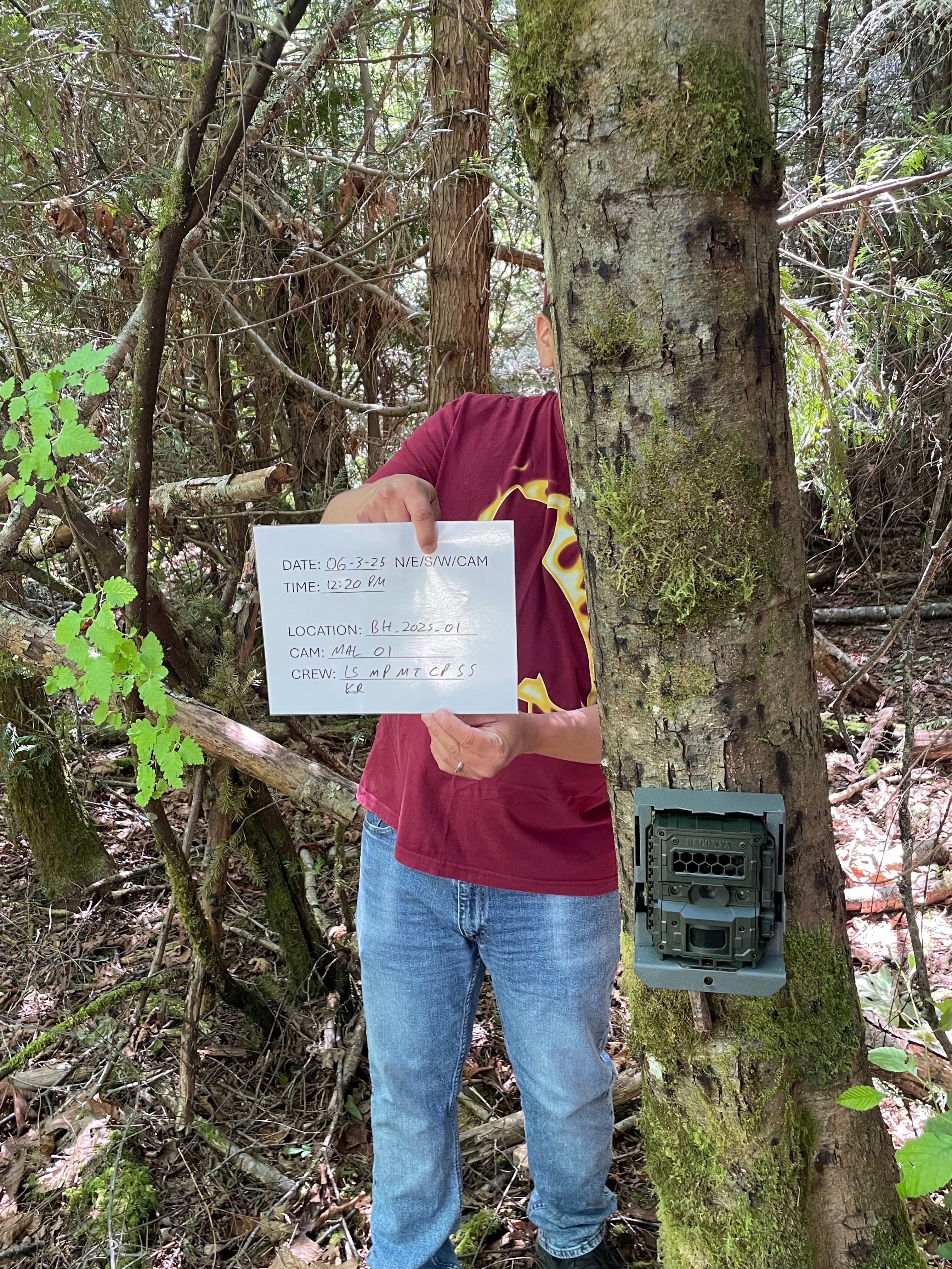 Malahat Nation Wildlife Camera Study