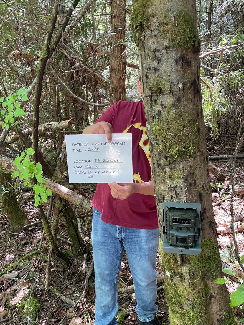 Malahat Nation Wildlife Camera Study
